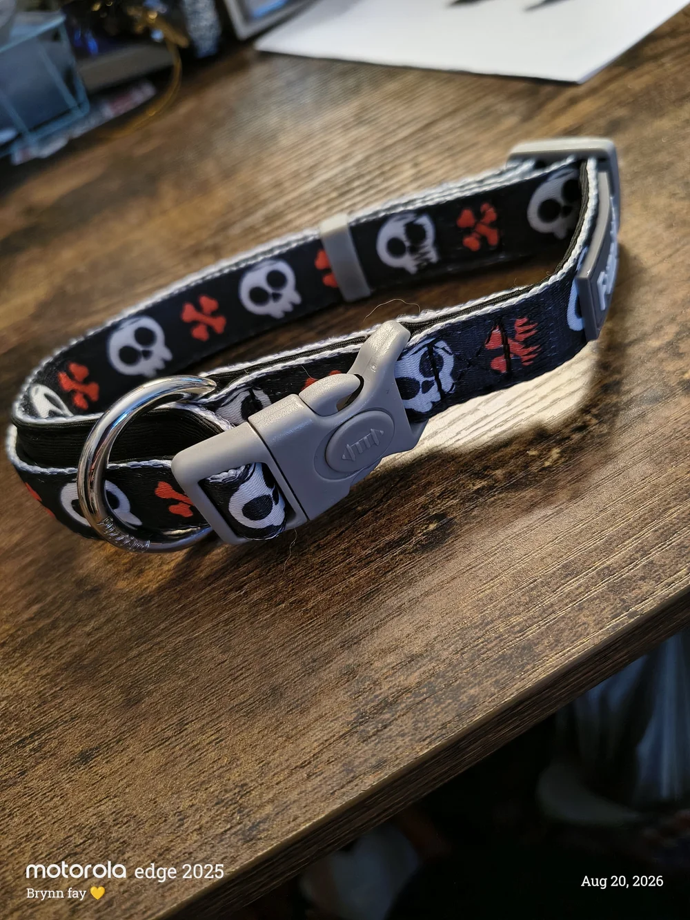 Halloween Dog Collar